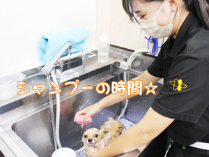 １年生、カットもがんばっています！
